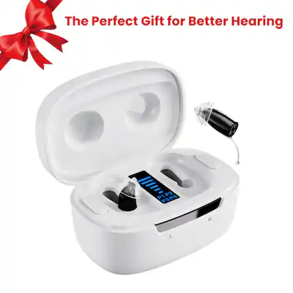 The Perfect Gift for Better Hearing
P1 P2 P3 P4
L R