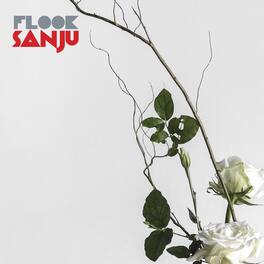 Flook - Sanju - VINYL LP