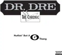 Dr Dre - Nuthin' But A G Thang - VINYL LP