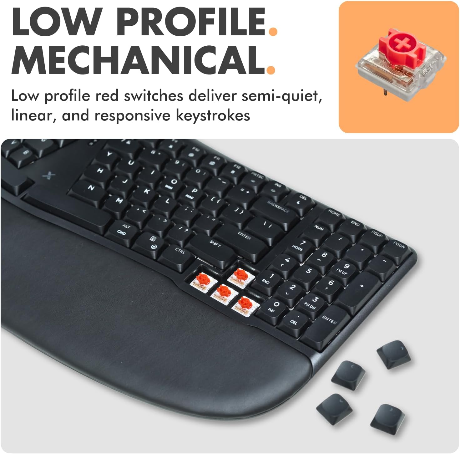 LOW PROFILE MECHANICAL  
Low profile red switches deliver semi-quiet, linear, and responsive keystrokes