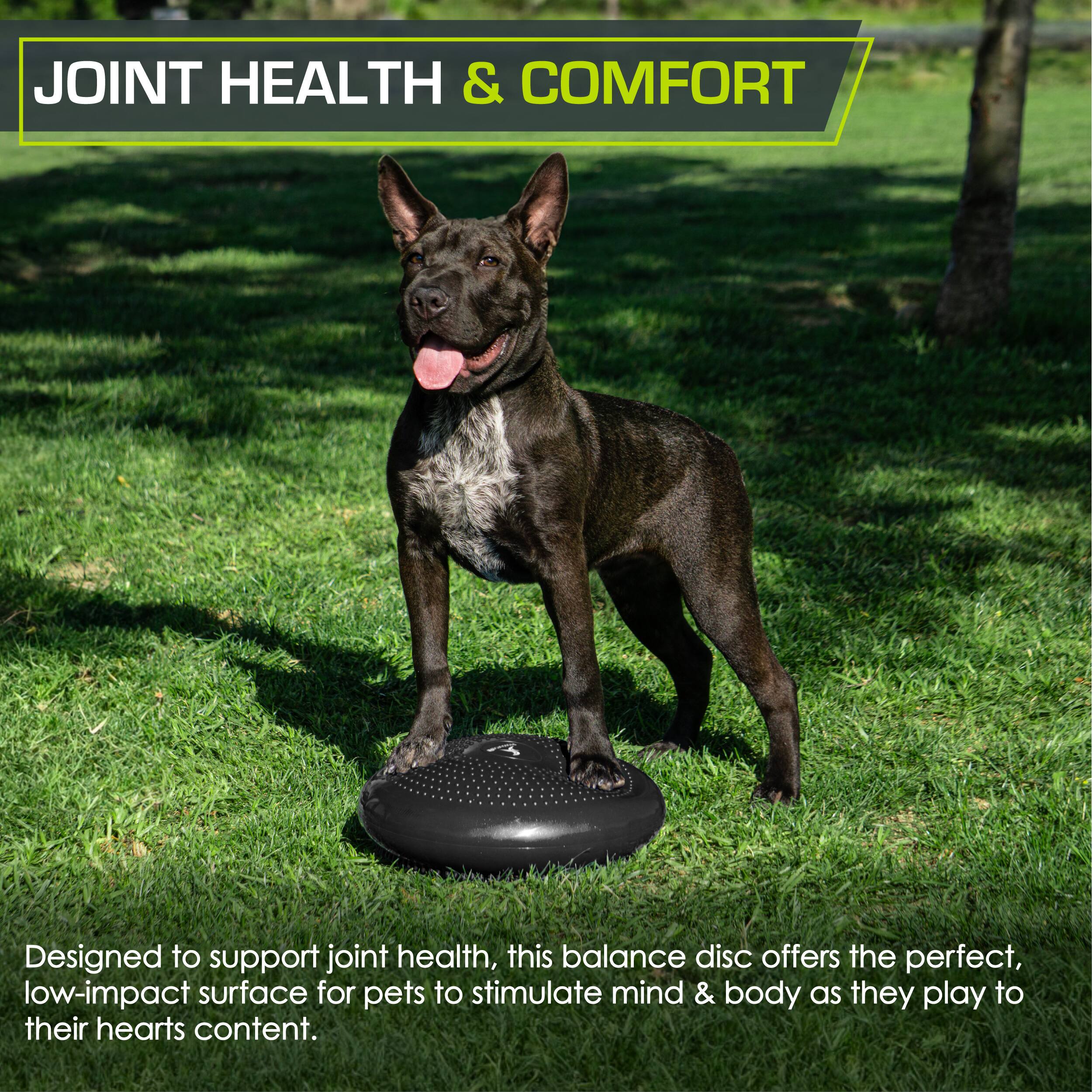 JOINT HEALTH & COMFORT

Designed to support joint health, this balance disc offers the perfect, low-impact surface for pets to stimulate mind & body as they play to their hearts content.