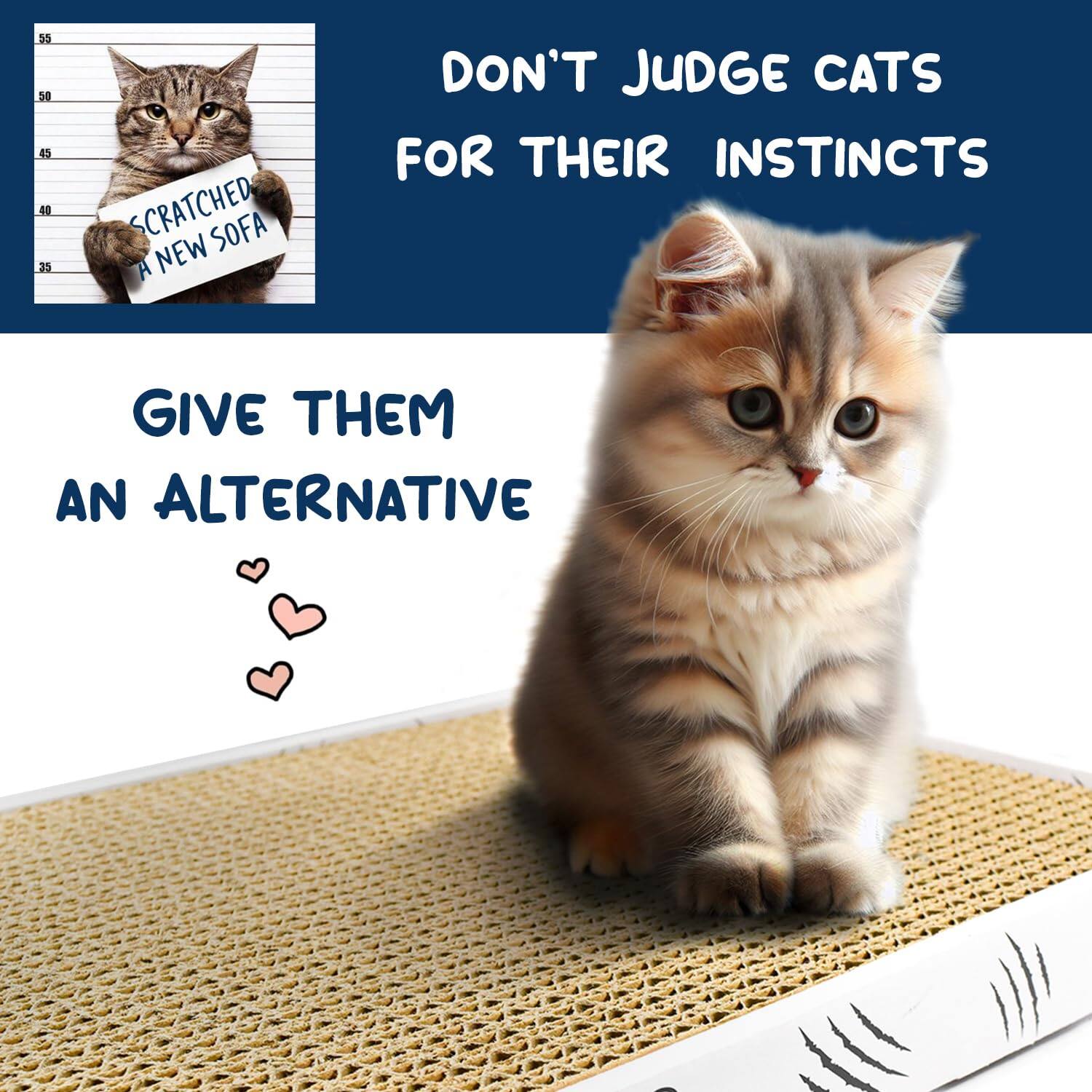 Don't judge cats for their instincts. Give them an alternative. Scratched sofa, a new sofa.