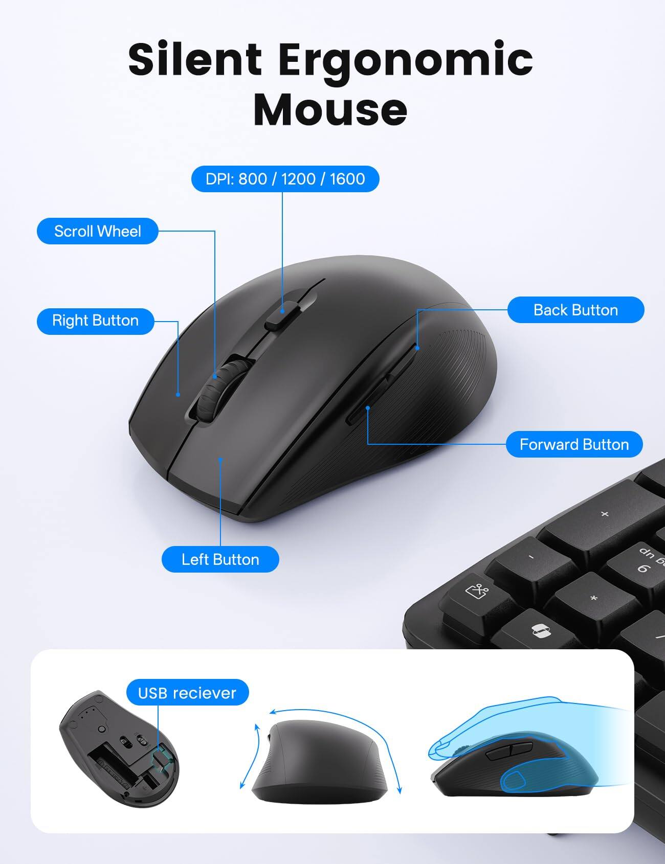 Silent Ergonomic Mouse  
DPI: 800 / 1200 / 1600  
Scroll Wheel  
Right Button  
Back Button  
Forward Button  
Left Button  
USB receiver