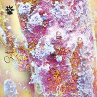 SAUCO [LP] - VINYL - Front_Zoom