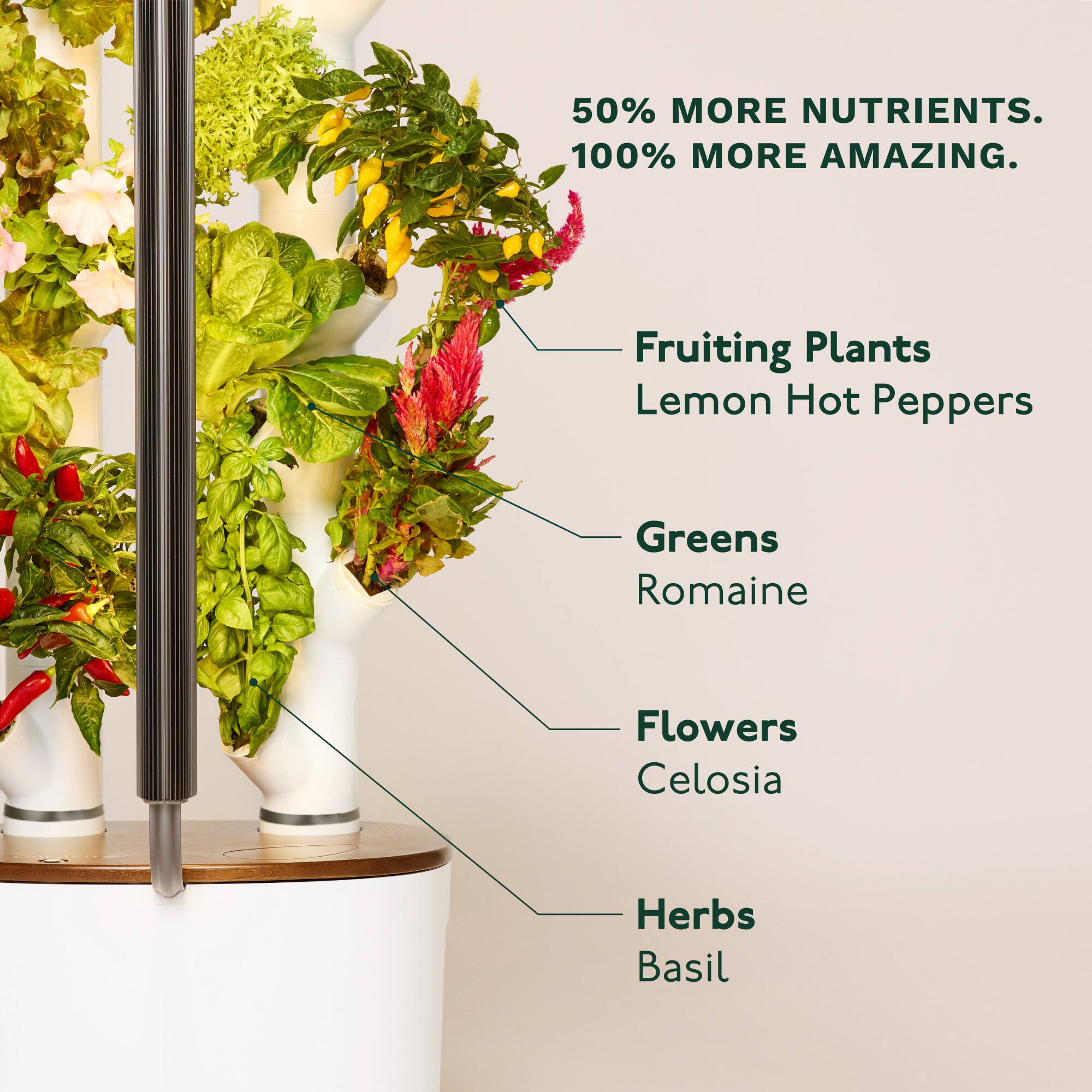 50% MORE NUTRIENTS.  
100% MORE AMAZING.  

- Fruiting Plants  
  Lemon Hot Peppers  

- Greens  
  Romaine  

- Flowers  
  Celosia  

- Herbs  
  Basil