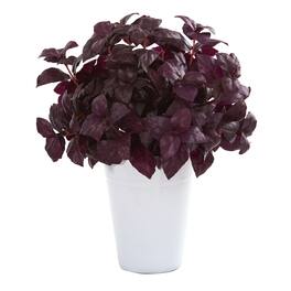 BreeBe - 14" Basil Artificial Plant in White Planter - Burgundy