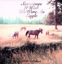 Bill Callahan - Sometimes I Wish We Were An Eagle - VINYL LP