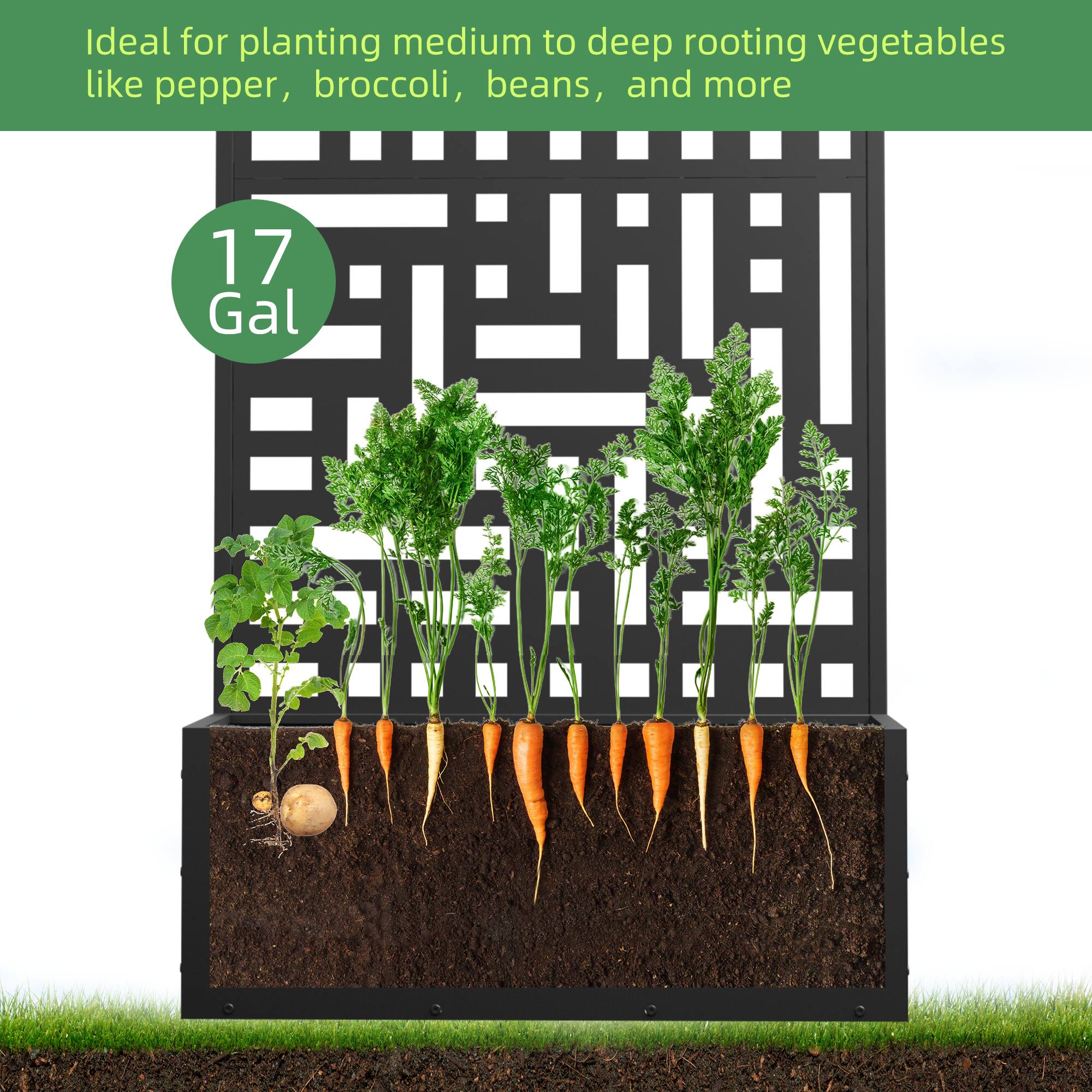 Ideal for planting medium to deep rooting vegetables like pepper, broccoli, beans, and more

17 Gal