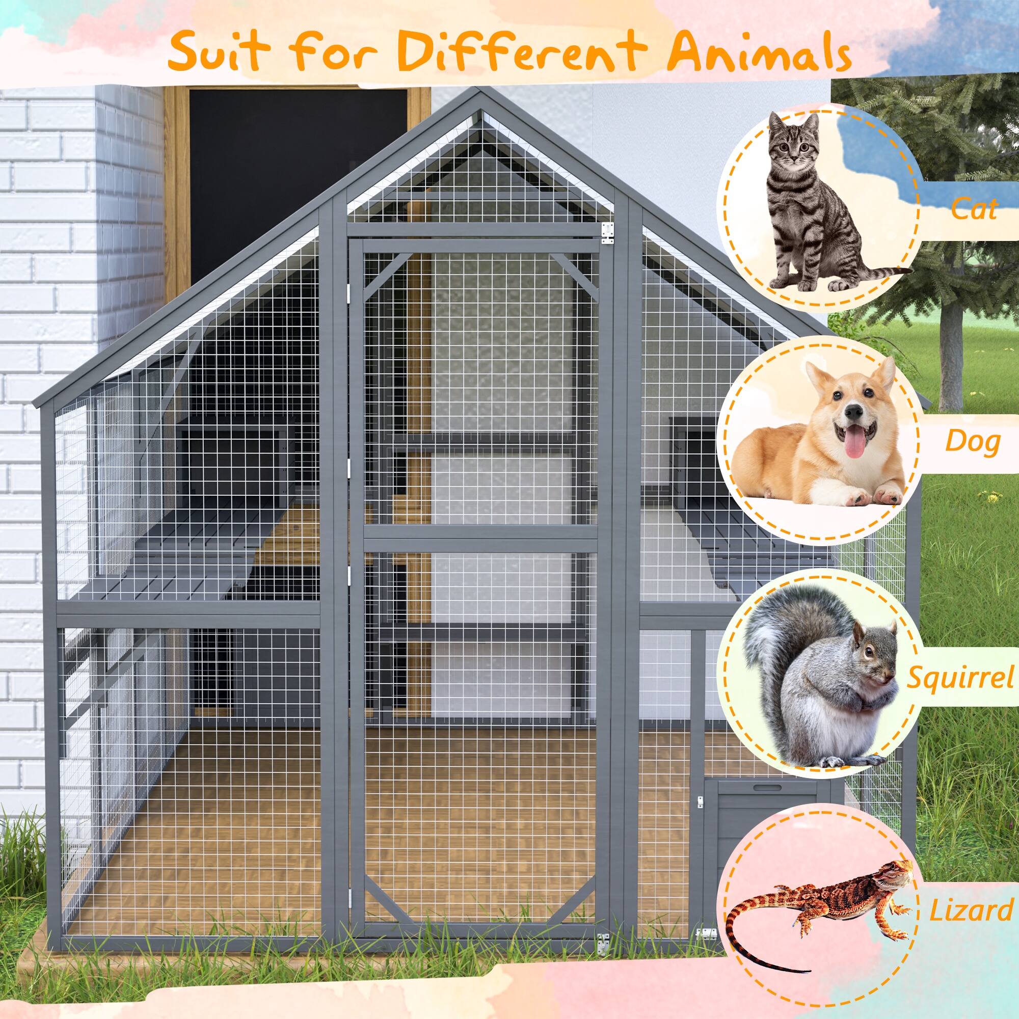 Suit for Different Animals  
Cat  
Dog  
Squirrel  
Lizard