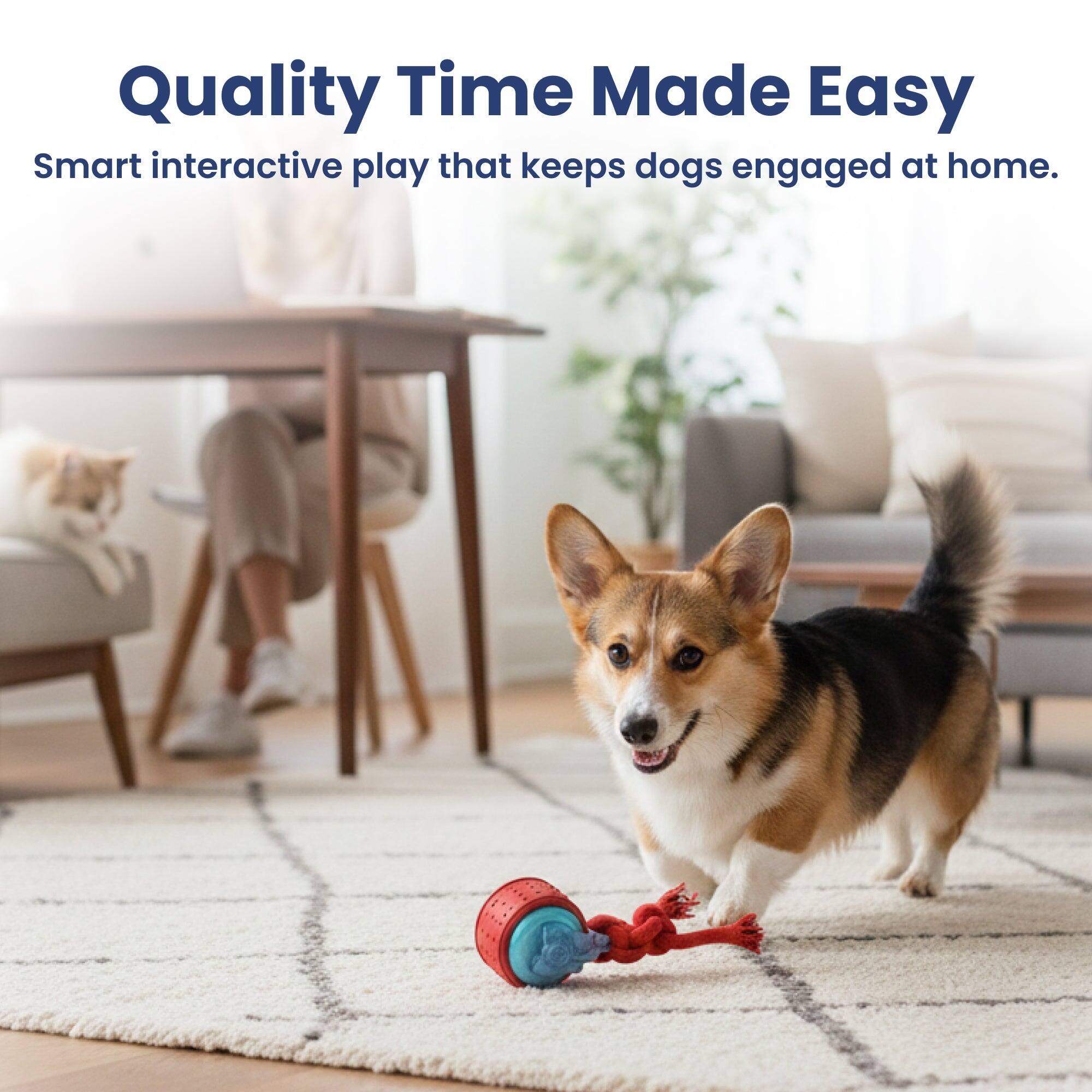 Quality Time Made Easy  
Smart interactive play that keeps dogs engaged at home.