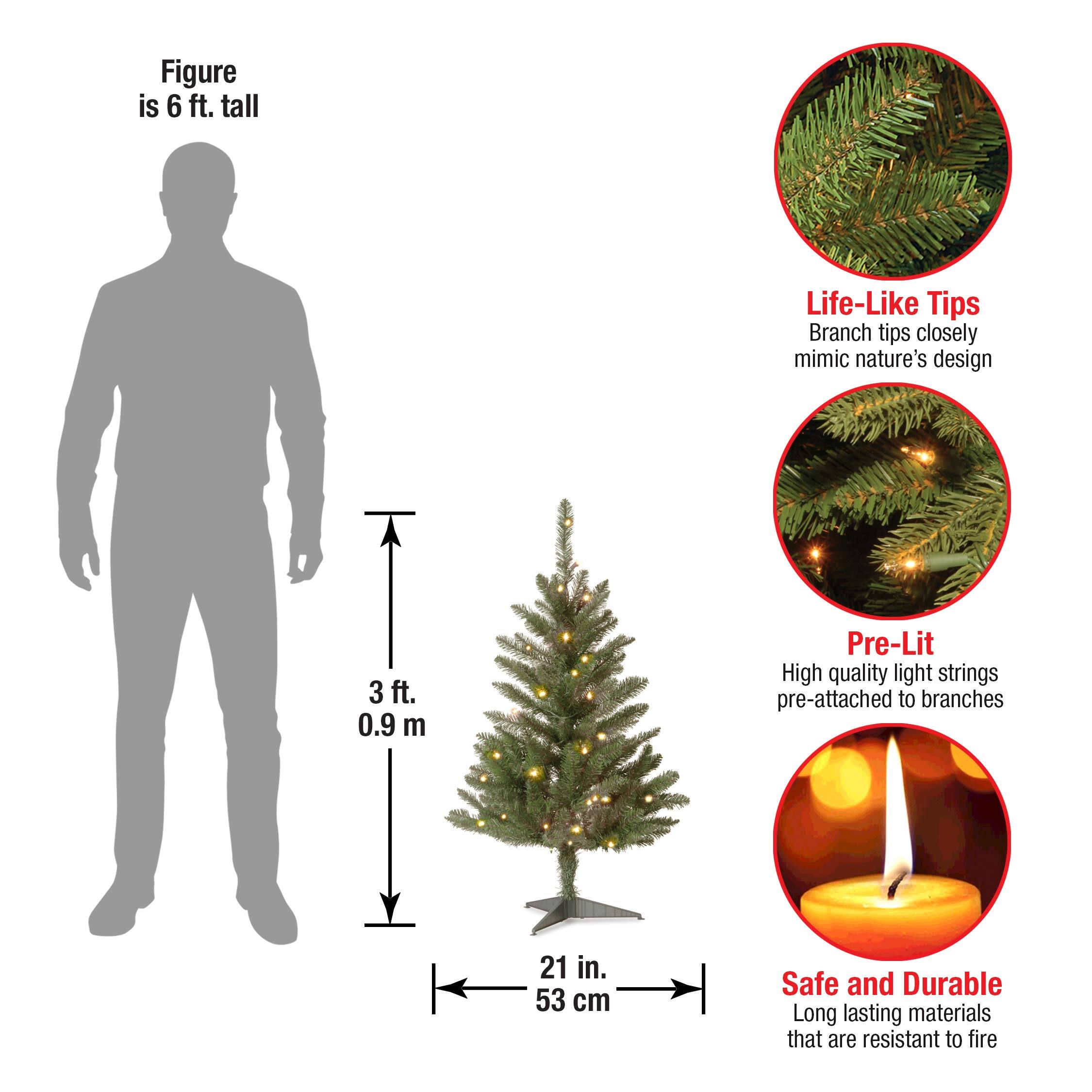- Figure is 6 ft. tall
- Life-Like Tips: Branch tips closely mimic nature's design
- Pre-Lit: High quality light strings pre-attached to branches
- Safe and Durable: Long lasting materials that are resistant to fire
- 3 ft. 0.9 m
- 21 in. 53 cm