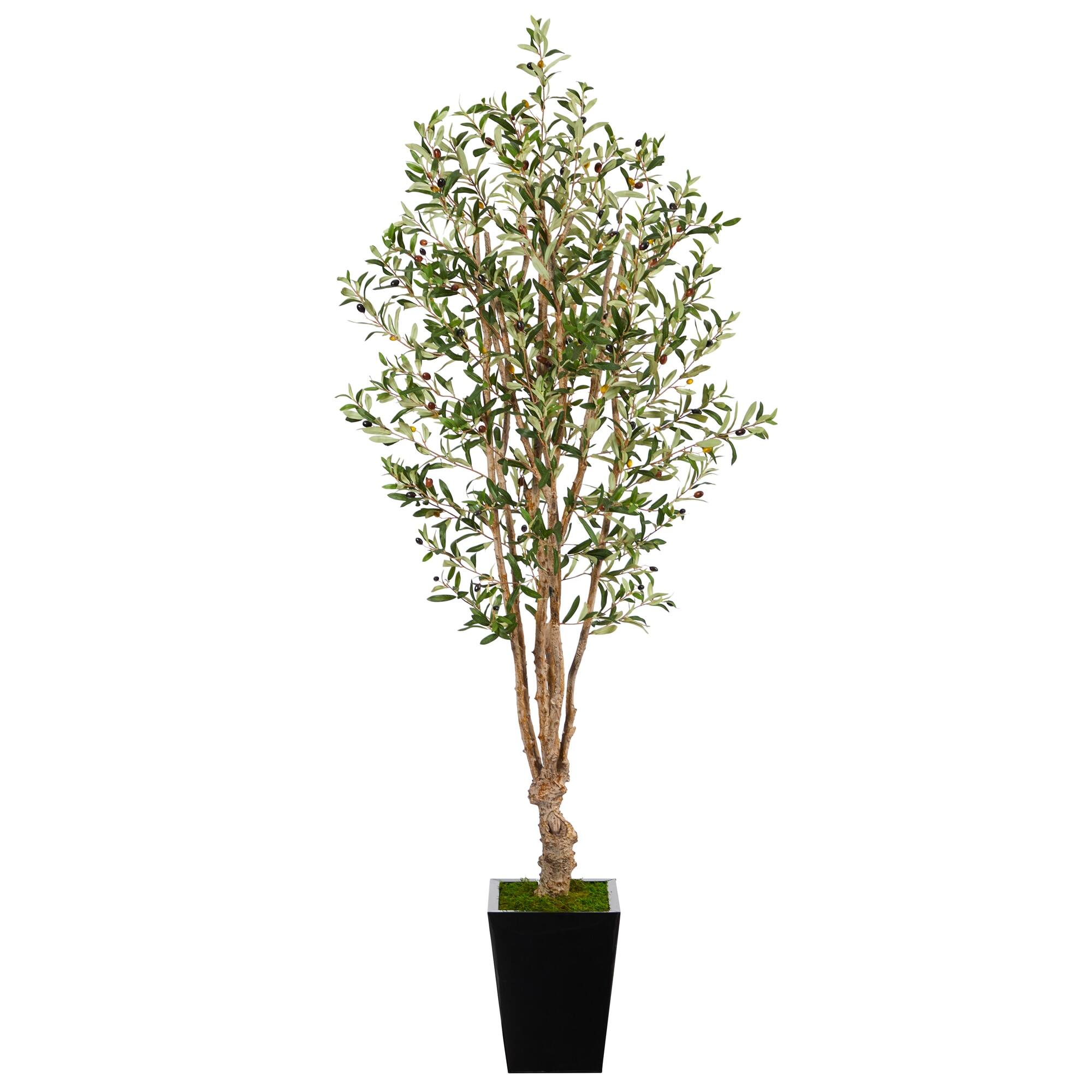Front. BreeBe - 6.5' Olive Artificial Tree in Black Metal Planter - Green.