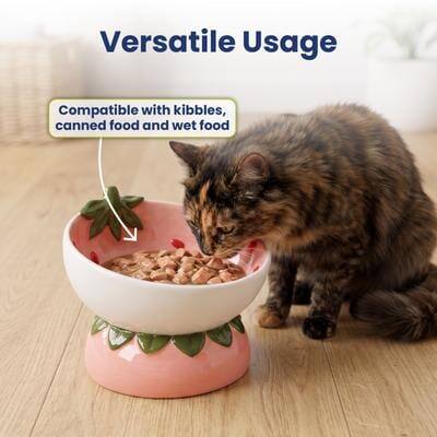 Versatile Usage  
Compatible with kibbles, canned food and wet food