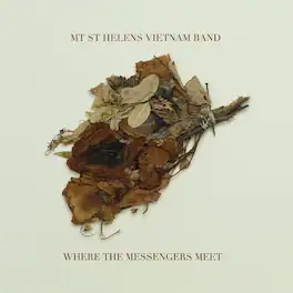 Mt. St. Helens Vietnam Band - Where the Messengers Meet - VINYL LP
