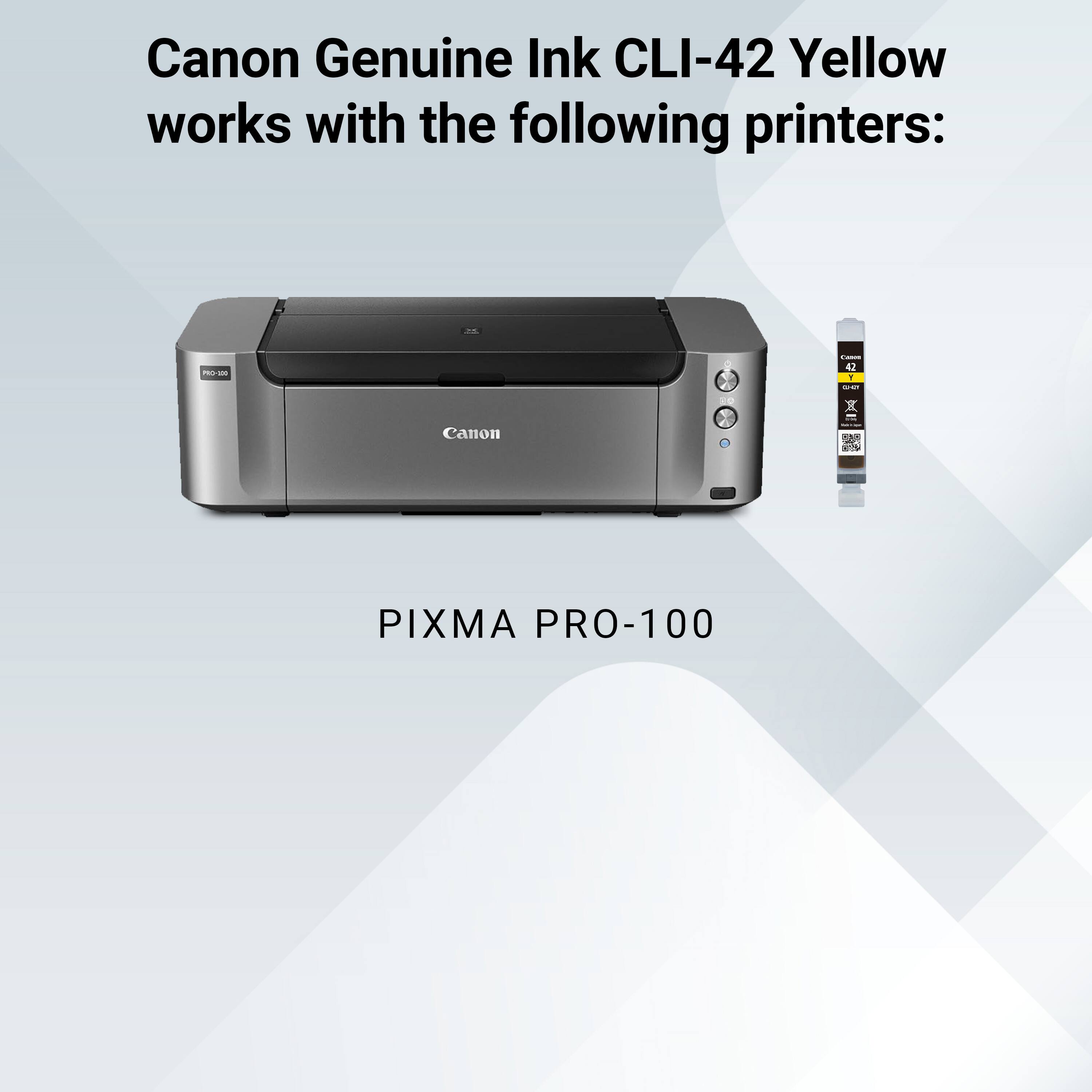 Canon Genuine Ink CLI-42 Yellow works with the following printers:

- PRO-100
- GI-CY
- Canon
- ADE NECOK
- PIXMA PRO-100