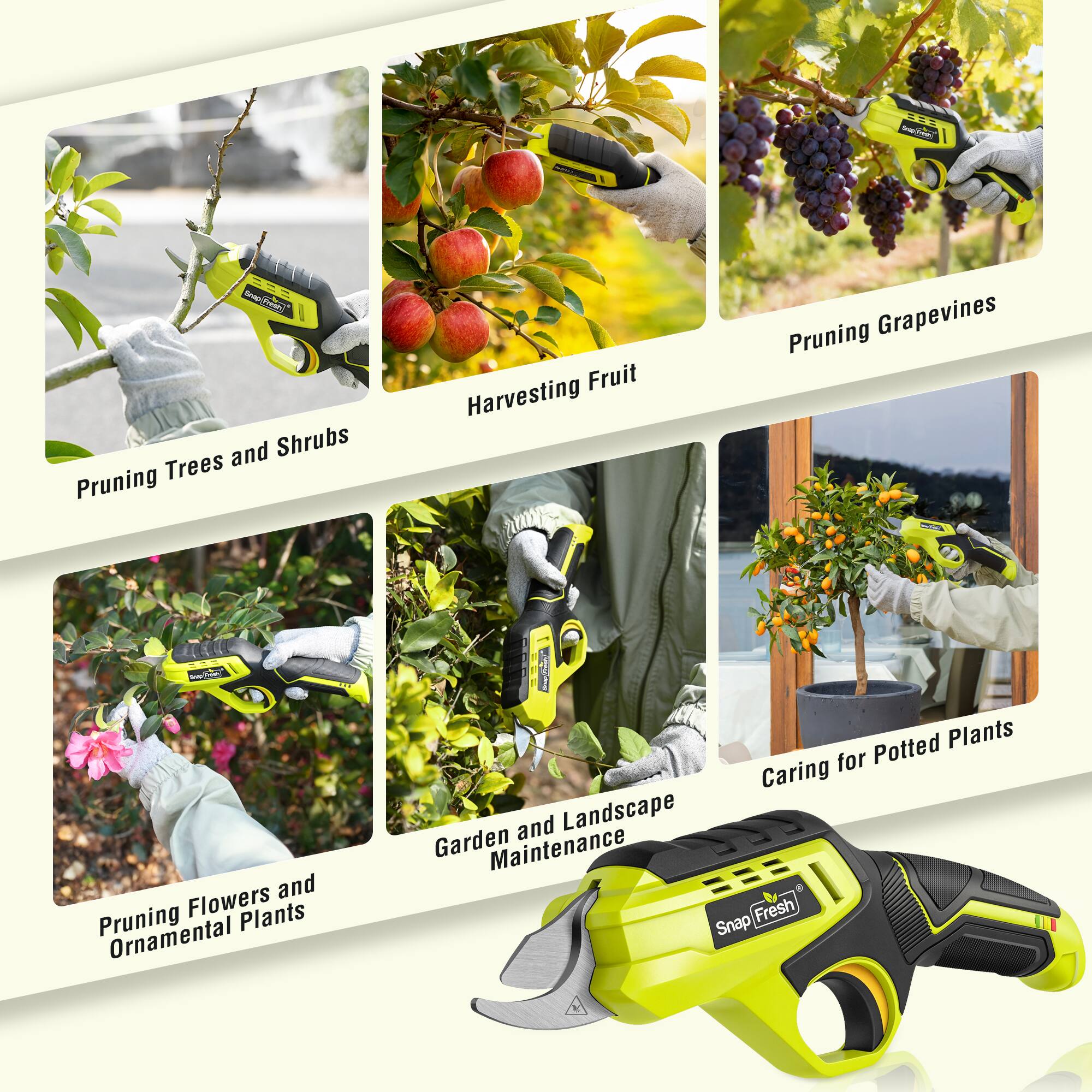 Vid Sea - I Snap/Fresh - Pruning Trees and Shrubs, Harvesting Fruit, Pruning Grapevines, Pruning Flowers and Ornamental Plants, Garden and Landscape Maintenance, Caring for Potted Plants