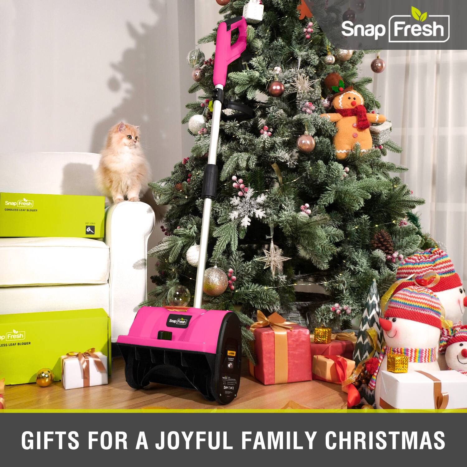 Snap Fresh  
GIFTS FOR A JOYFUL FAMILY CHRISTMAS