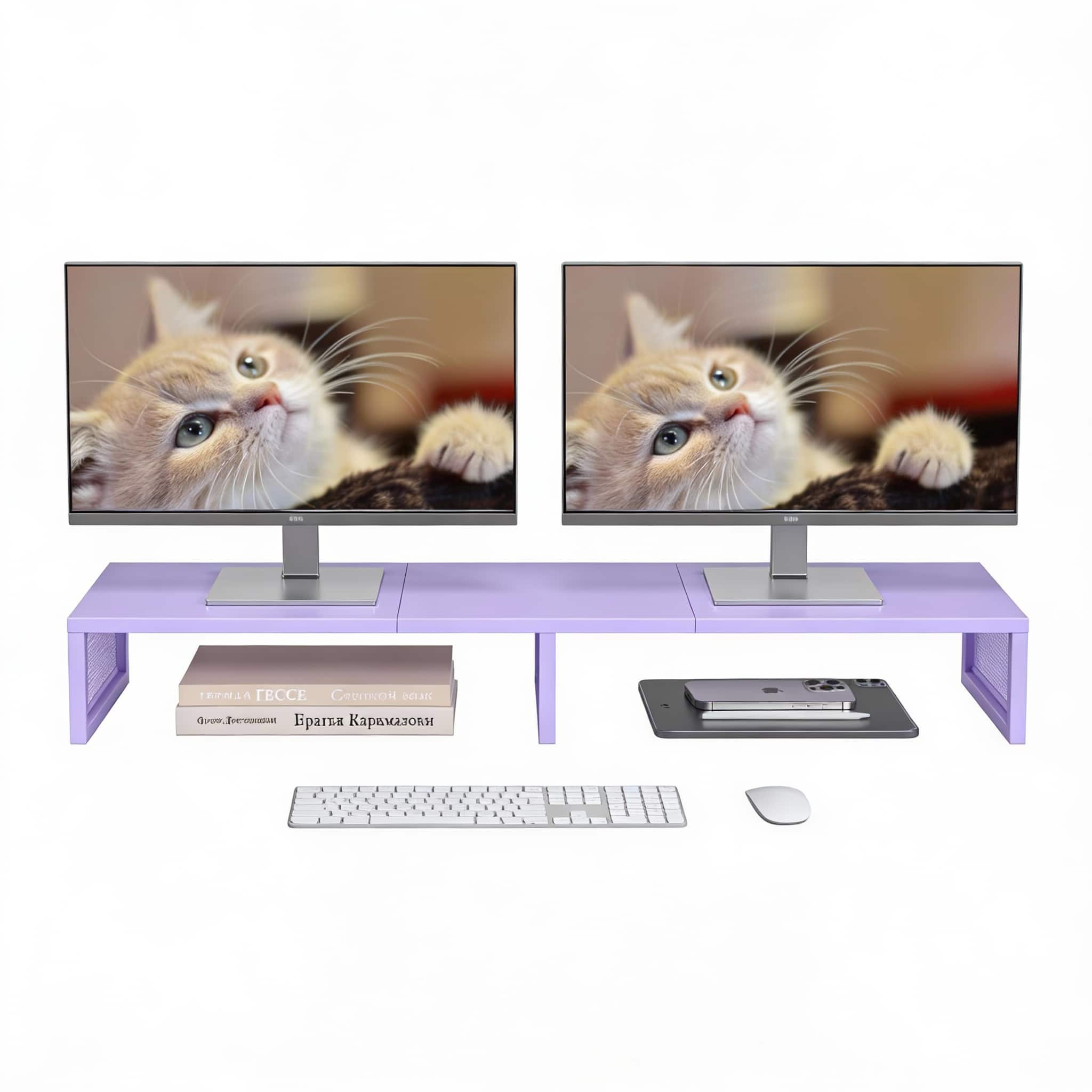 Frangdom - Dual Monitor Stand Riser with Storage for Desk Office Supplies - Purple