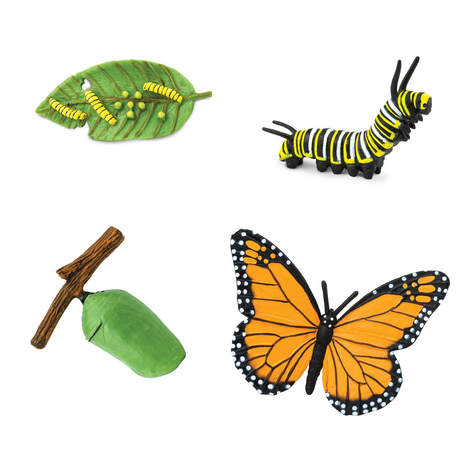 Angle. Safari Ltd. - Life Cycle Of A Monarch Butterfly Toy.