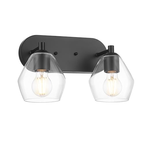 Black & Clear Glass - 2 Light