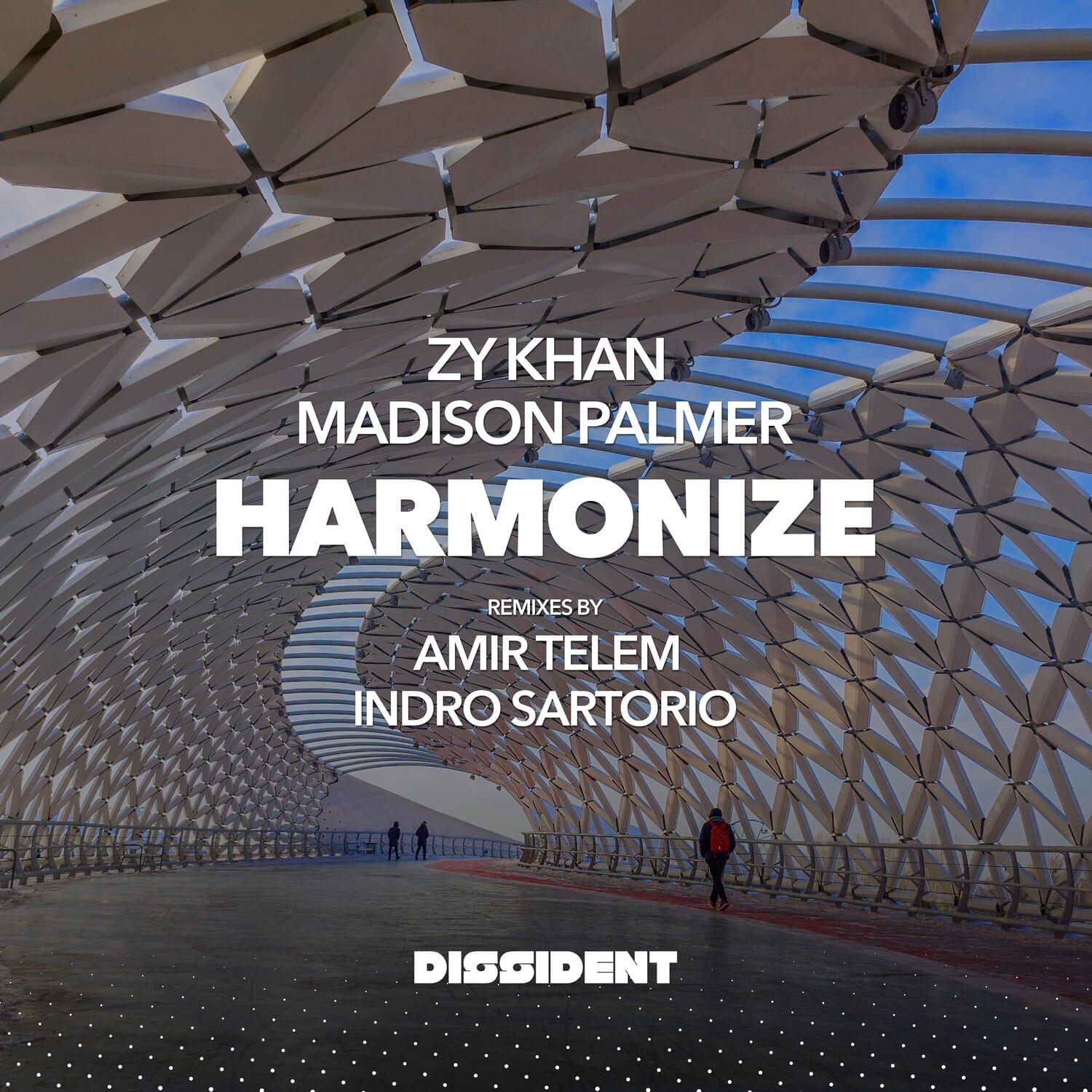Khan,Zy & Palmer, Madison - Harmonize   - COMPACT DISCS [CD] price history on PriceWatchPro