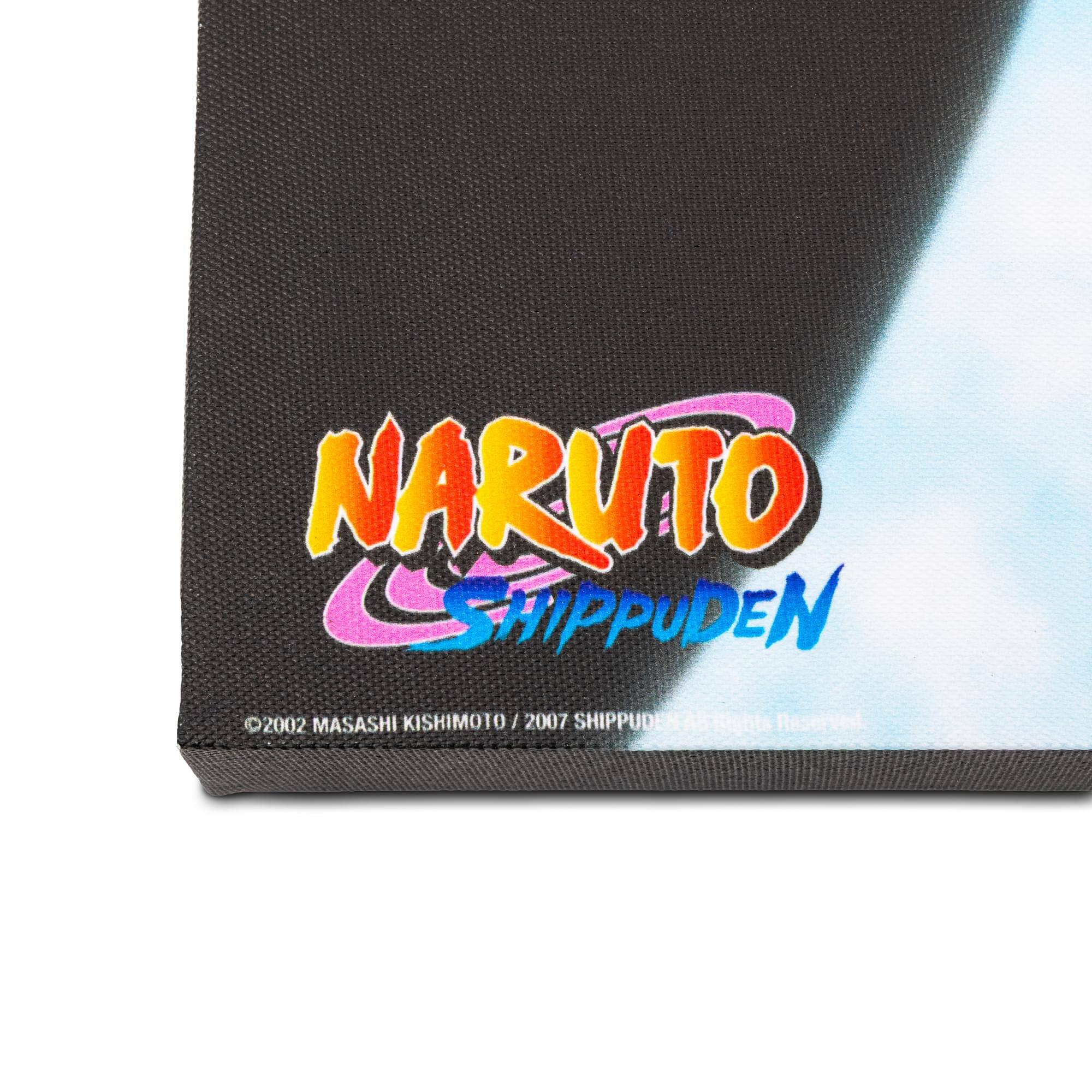NARUTO SHIPPUDEN  
©2002 MASASHI KISHIMOTO / 2007 SHIPPUDEN  
AB-Rights Reserved