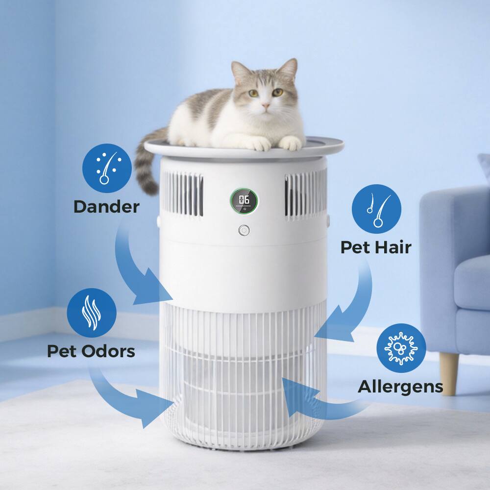 Dander, Pet Hair, Pet Odors, Allergens