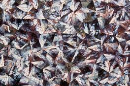 JennAir - 30" Elements Collection Custom Column Panel - Mussel Shell Burgundy