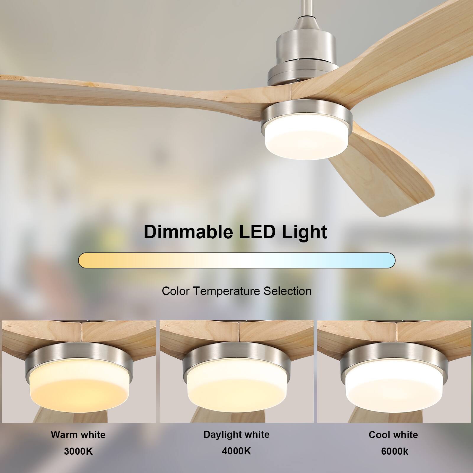 Dimmable LED Light
Color Temperature Selection
Warm white 3000K
Daylight white 4000K
Cool white 6000K
