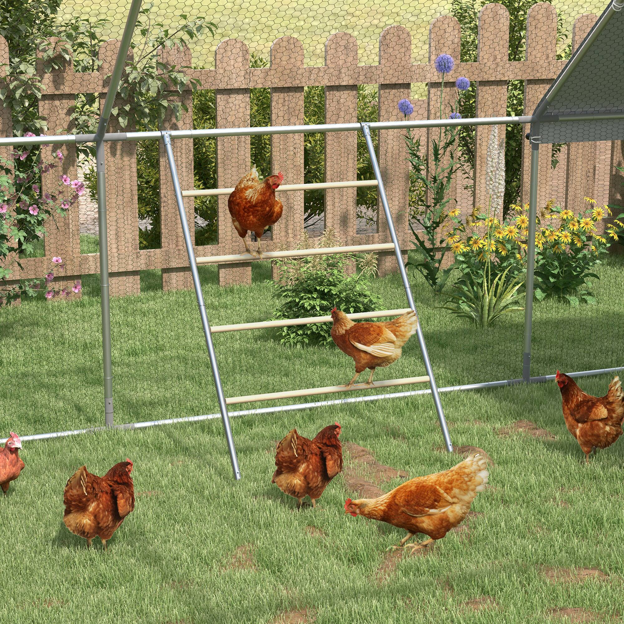 Angle. Pawhut - Chicken Perch for Coop, Wooden and Galvanized Steel Jungle Gym Roosting Bar Ladder for Backyard Poultry - Natural Wood.