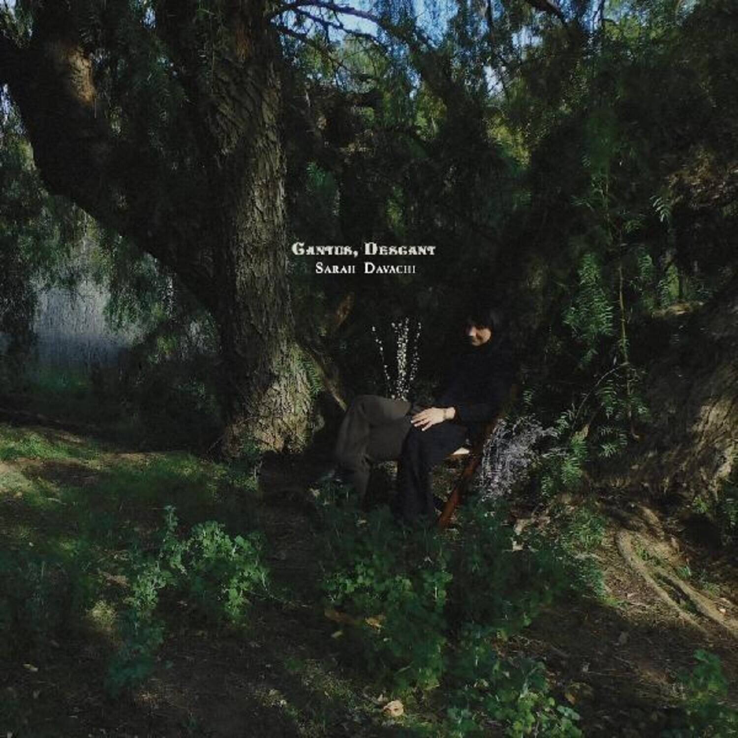Sarah Davachi - Cantus Descant   - VINYL LP price history on PriceWatchPro