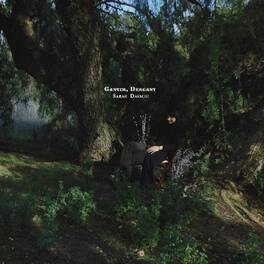 Sarah Davachi - Cantus Descant - VINYL LP