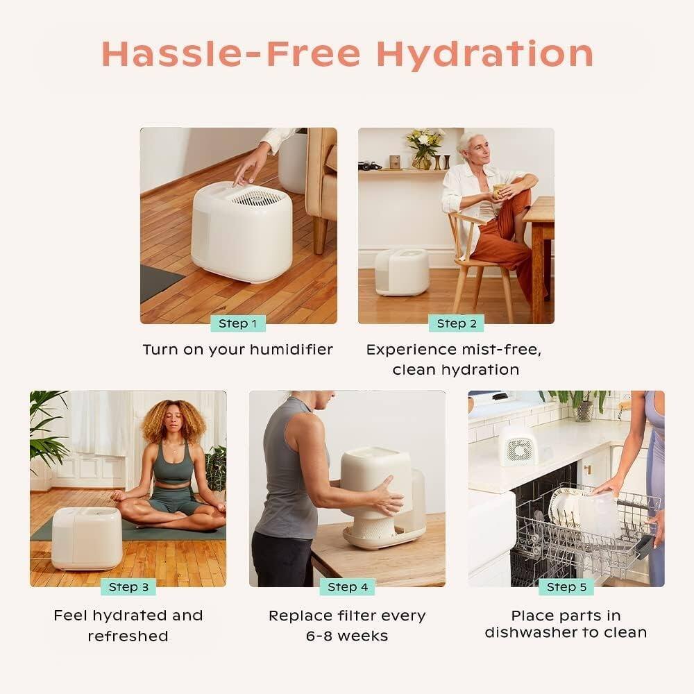 Hassle-Free Hydration

Step 1: Turn on your humidifier

Step 2: Experience mist-free, clean hydration

Step 3: Feel hydrated and refreshed

Step 4: Replace filter every 6-8 weeks

Step 5: Place parts in dishwasher to clean