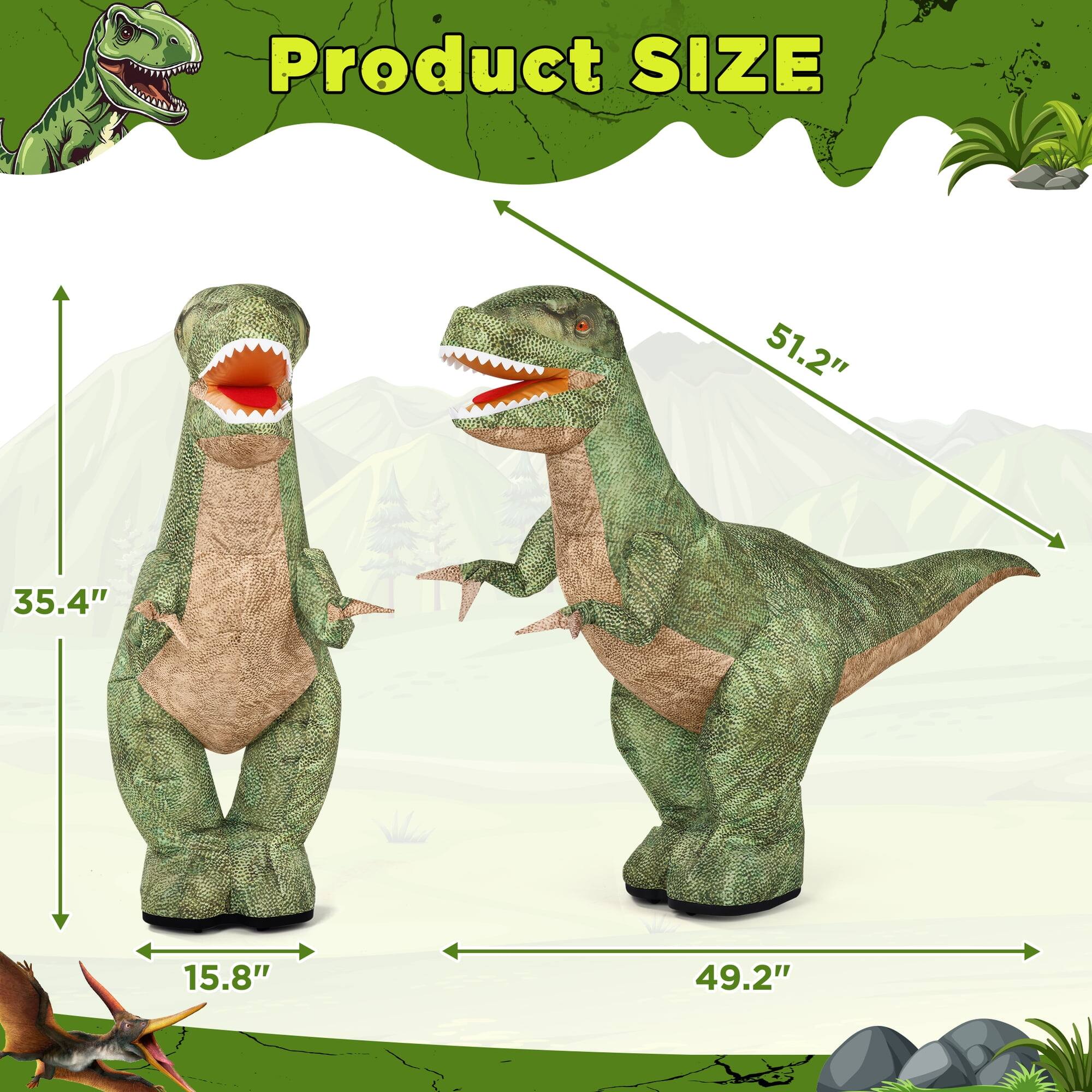 Product SIZE  
51.2"  
35.4"  
15.8"  
49.2"