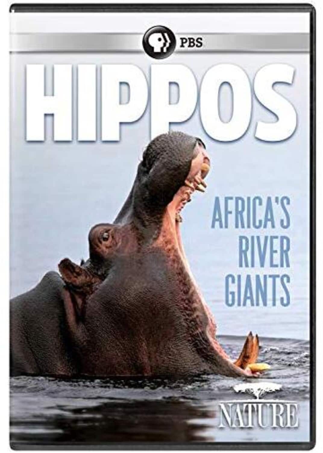 NATURE: Hippos: Africa's River Giants  - DVD