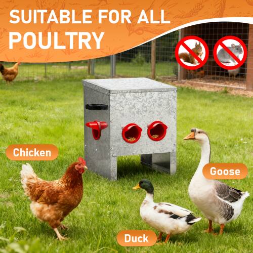 SUITABLE FOR ALL POULTRY

Chicken  
Goose  
Duck
