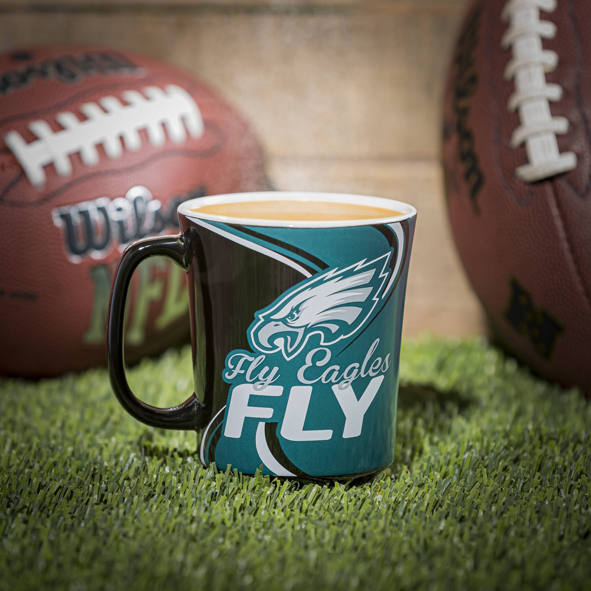 Fly Eagles Fly