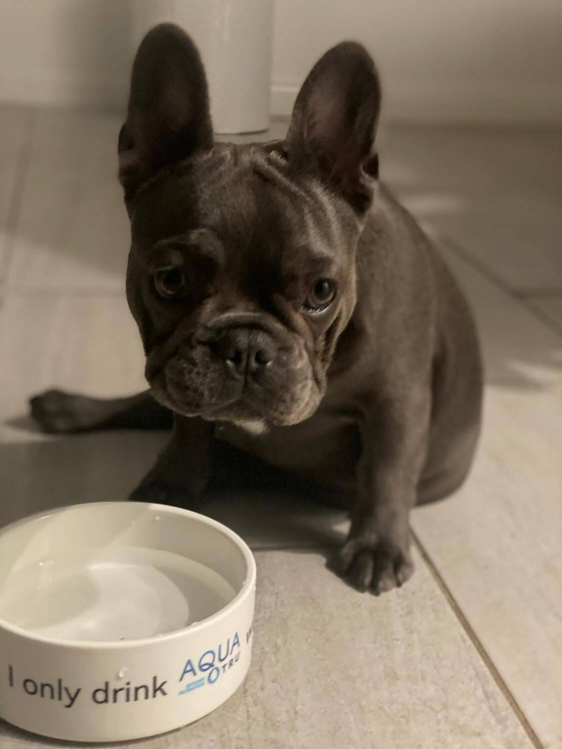 I only drink AQUA OTRU