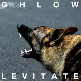 Ghlow - Levitate - VINYL LP