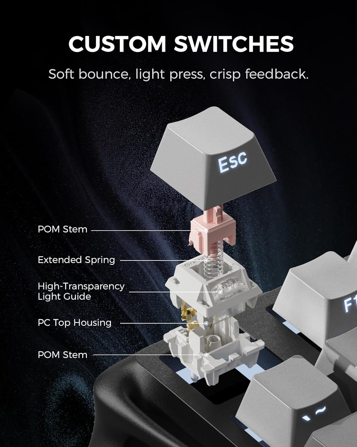 CUSTOM SWITCHES  
Soft bounce, light press, crisp feedback.  

- POM Stem  
- Extended Spring  
- High-Transparency Light Guide  
- PC Top Housing  
- POM Stem