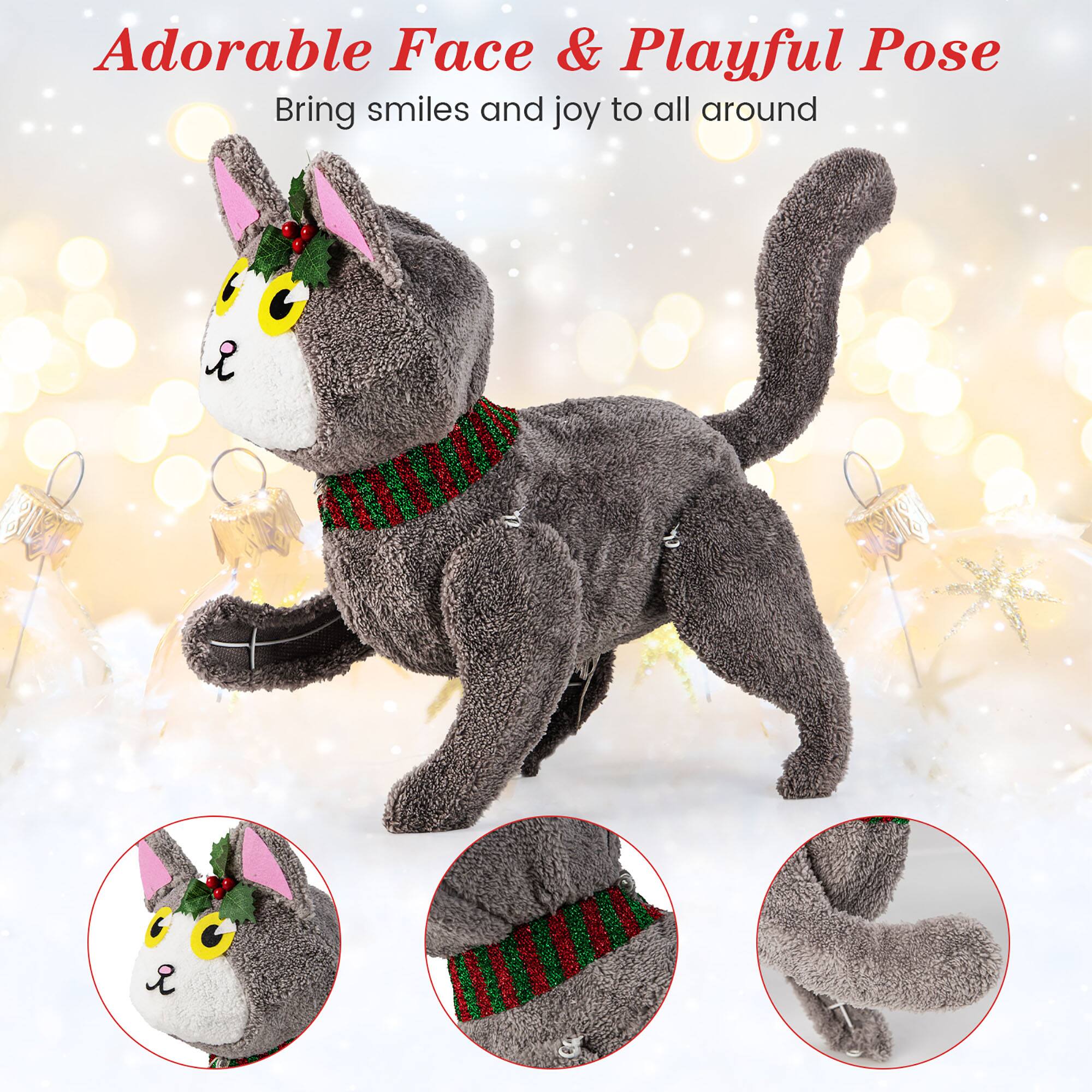 Adorable Face & Playful Pose  
Bring smiles and joy to all around