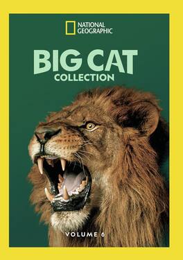 Big Cat Collection Vol 6 - DVD