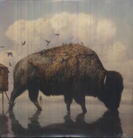 Silverstein - This Is How the Wind Shifts - VINYL LP