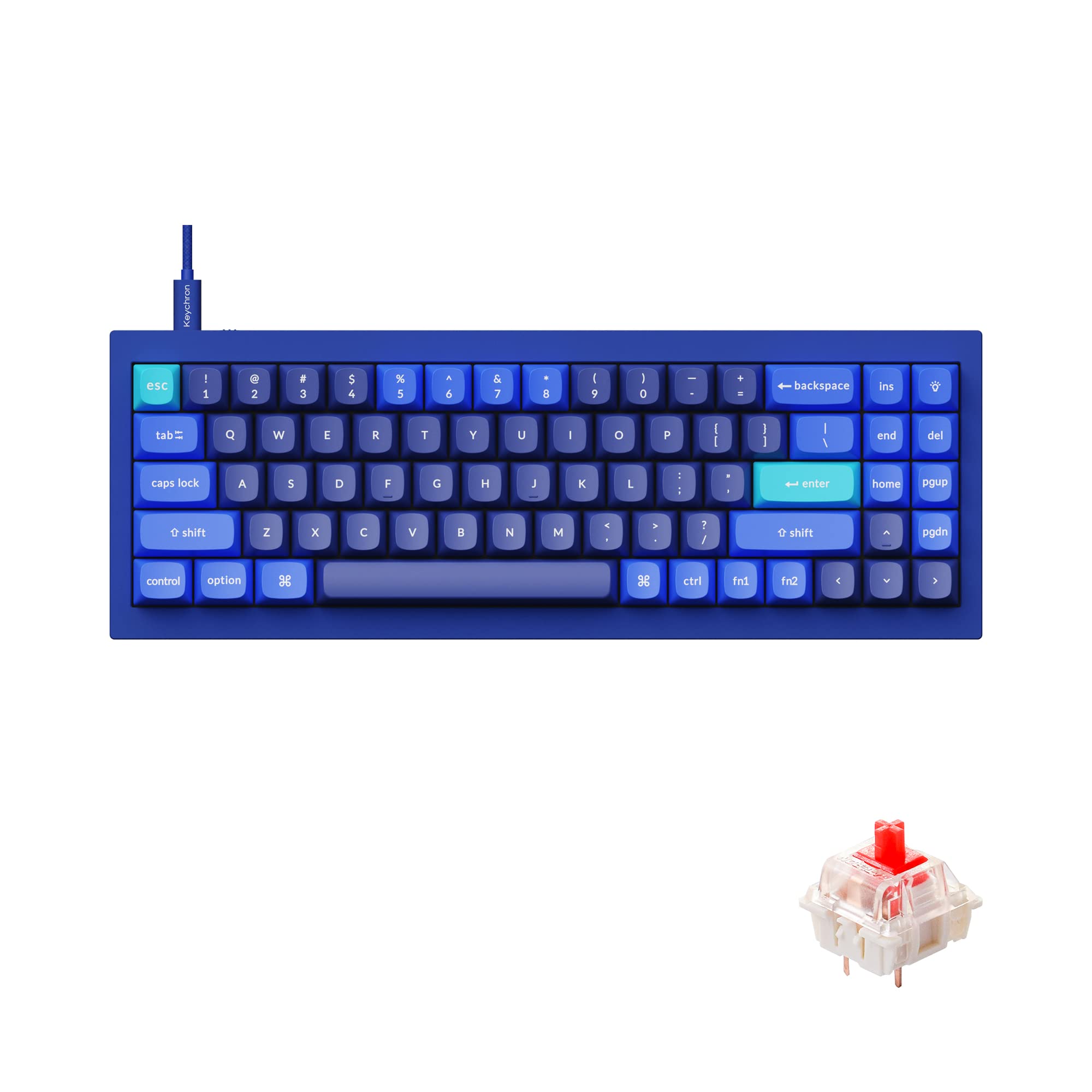 Gateron G Pro Red Switch - Blue