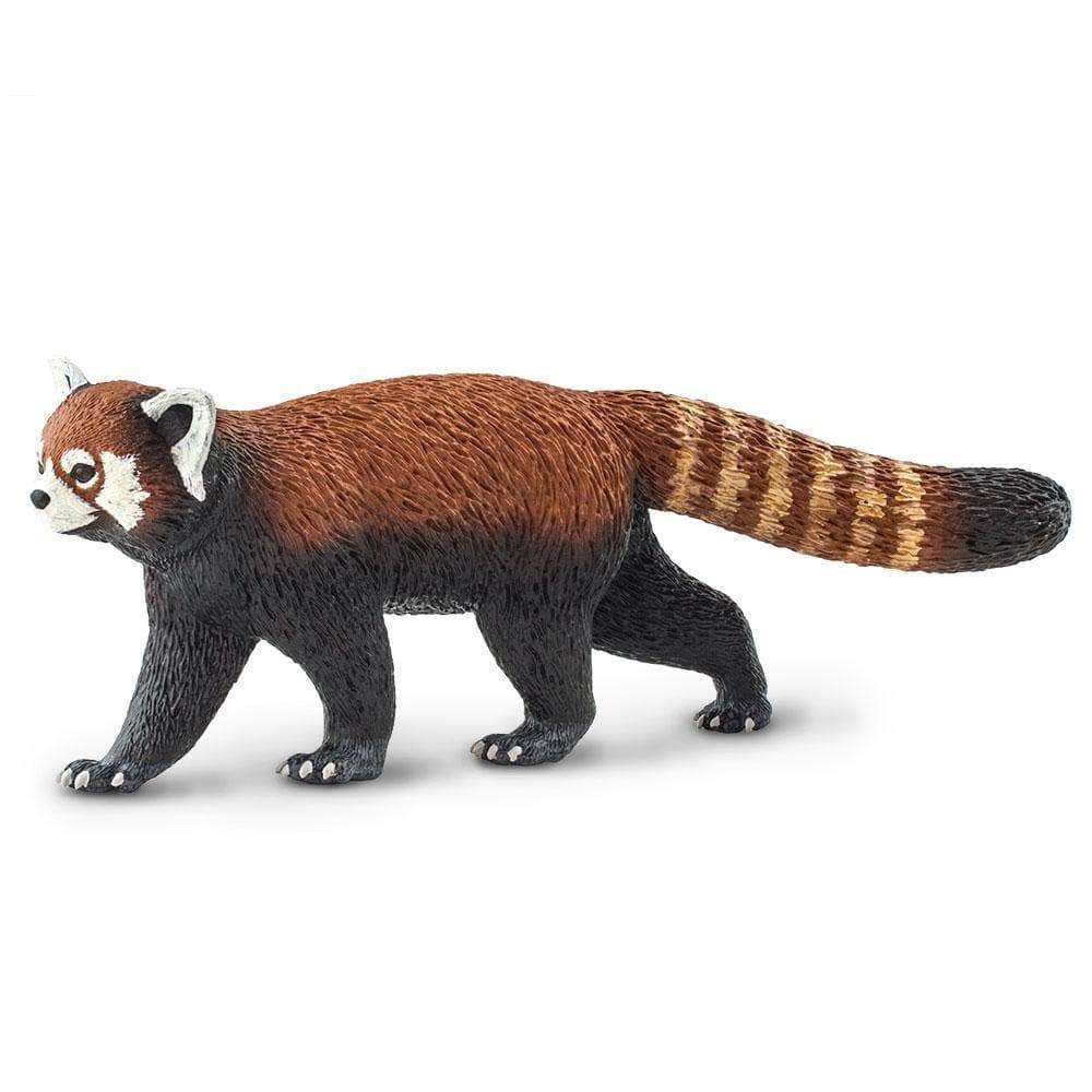 Front. Safari Ltd. - Red Panda Toy Figurine.