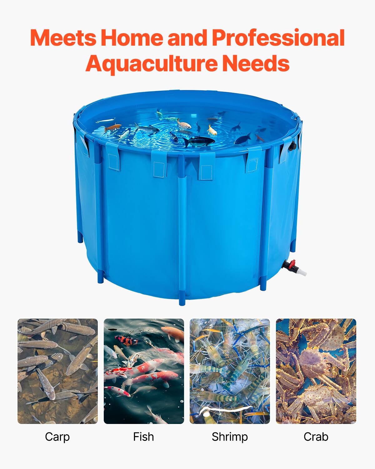 Meets Home and Professional Aquaculture Needs

Carp  
Fish  
Shrimp  
Crab