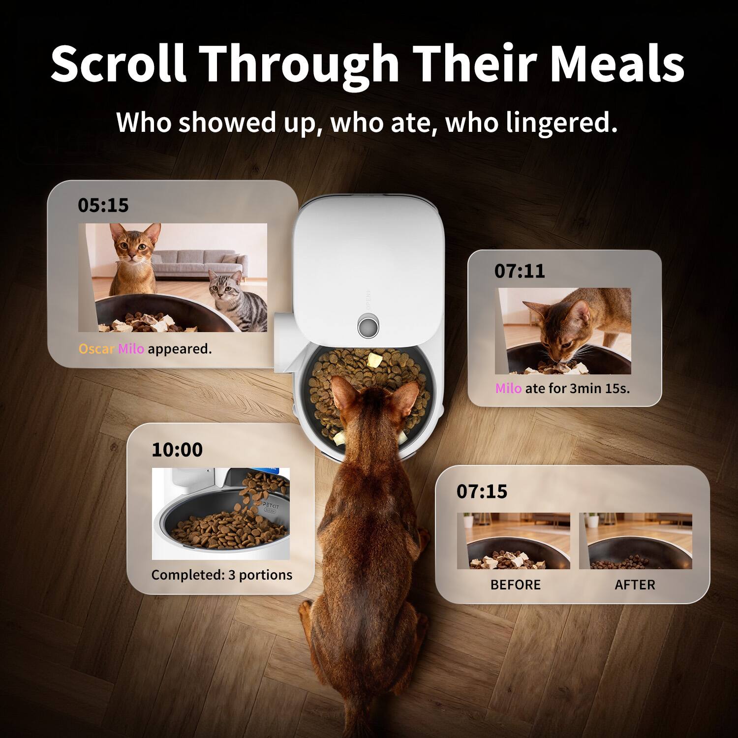 Scroll Through Their Meals  
Who showed up, who ate, who lingered.  

05:15  
Oscar Milo appeared.  

07:11  
Milo ate for 3min 15s.  

10:00  
Completed: 3 portions  

07:15  
BEFORE  
AFTER