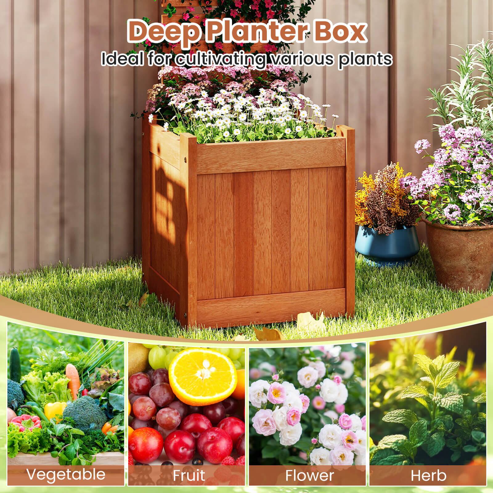Deep Planter Box  
Ideal for cultivating various plants  

Vegetable  
Fruit  
Flower  
Herb