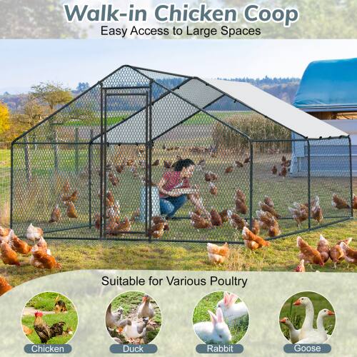 Walk-in Chicken Coop  
Easy Access to Large Spaces  

Suitable for Various Poultry  
- Chicken  
- Duck  
- Rabbit  
- Goose
