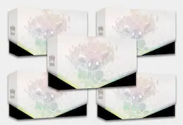 Pokémon - TCG: Scarlet & Violet Prismatic Evolutions ET Box 5 Pack bundle